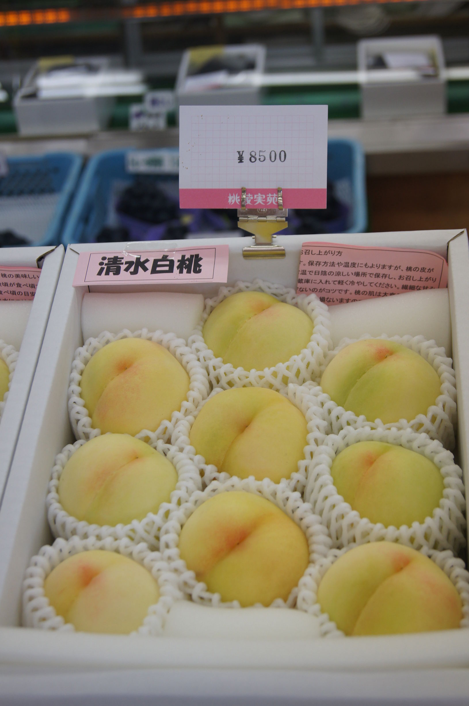 去日本买马桶盖买TT不如去买菜，附良心采购单