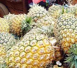 怎么分别凤梨和菠萝,凤梨和菠萝是同一个品种吗