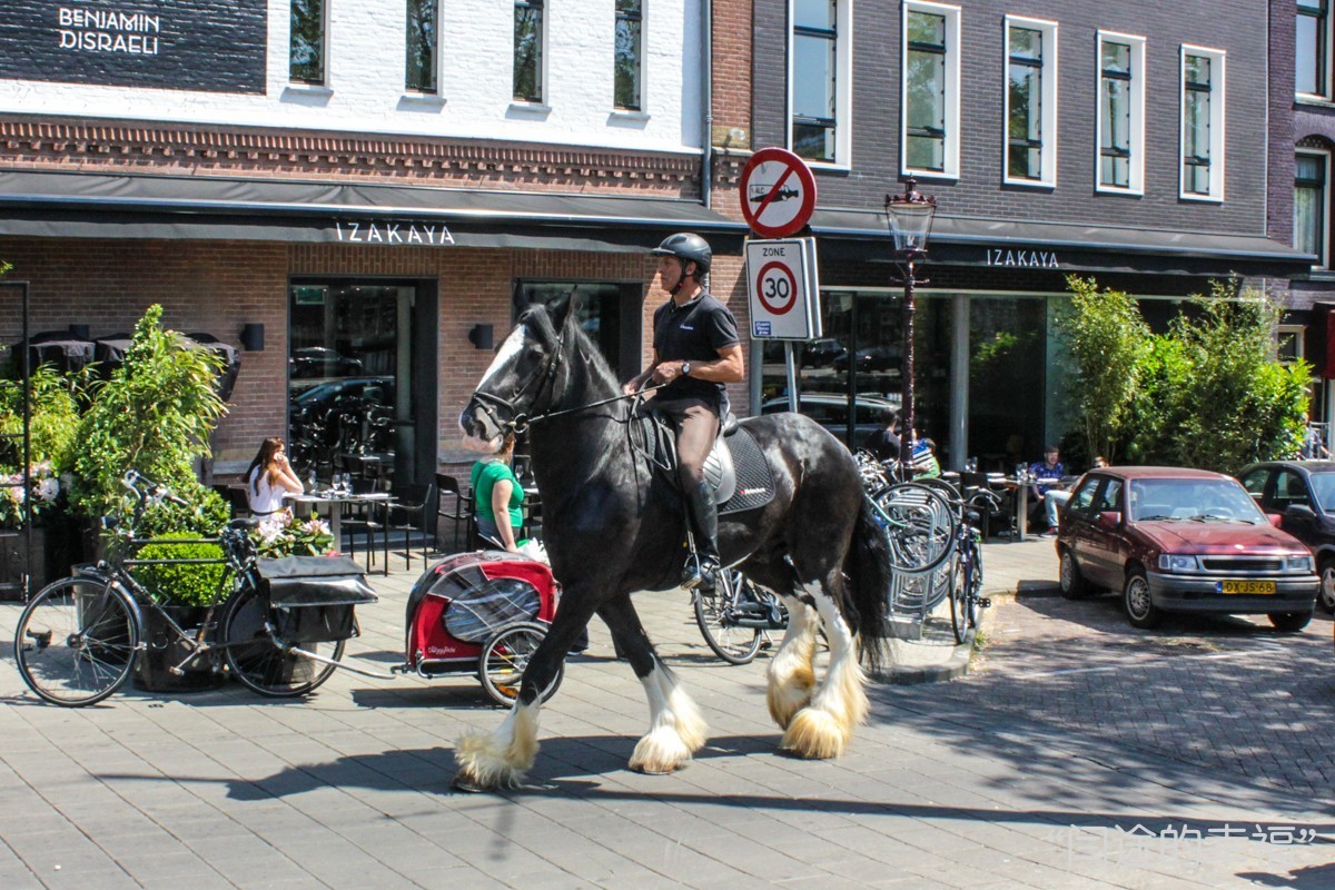 荷兰的自行车有多好骑,荷兰各种各样的自行车