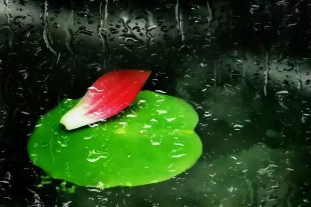 优秀手机摄影作品的五个要素,手机拍的作品