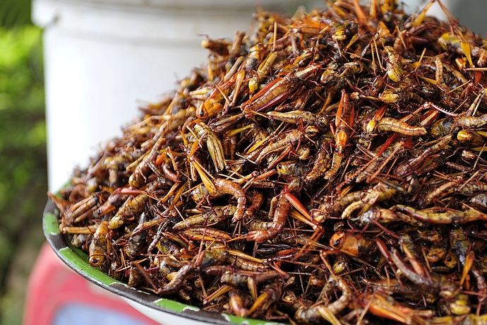 柬埔寨浙江台州小吃 (柬埔寨街边小吃摊位)