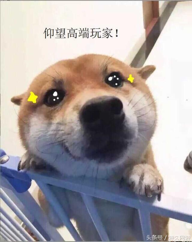 cf活动小学生,cf小学生剧情