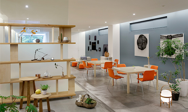 揭秘muji与浴室的不解之缘,muji与其他家具的区别分析