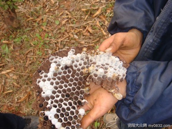 极品美味，就差瞟一眼，么么哒