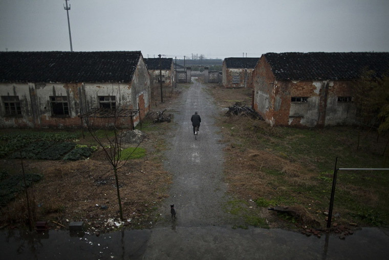 千古仅有：唐朝，火烧千家，术士临死献出中医治麻风病奇方保命