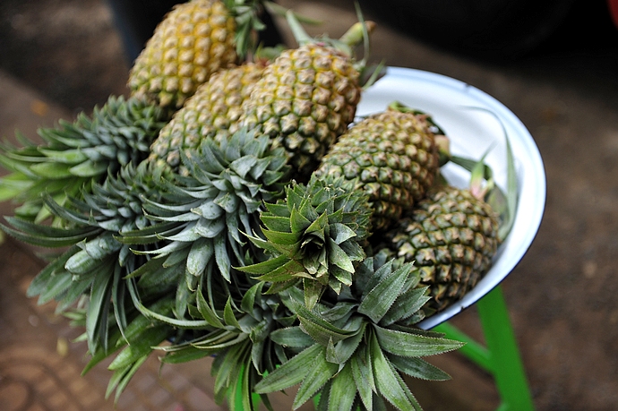 柬埔寨浙江台州小吃 (柬埔寨街边小吃摊位)