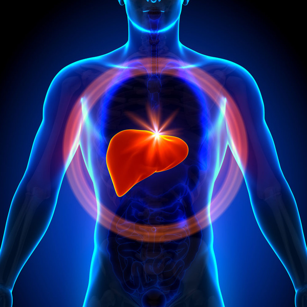 其实它药用价值很高,有多少人知道它的作用和药用价值