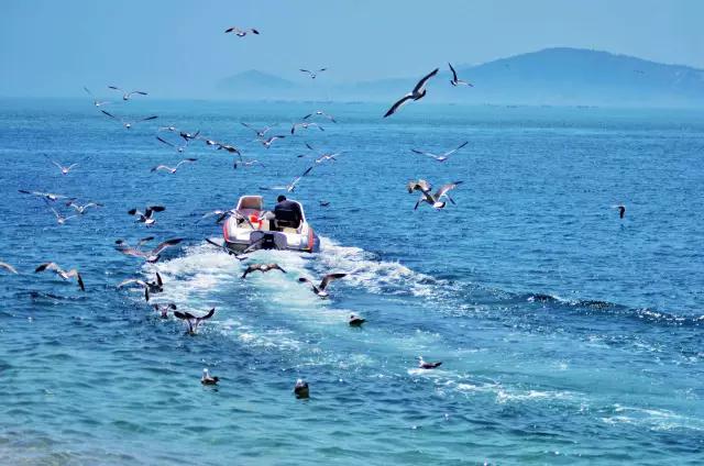 山东青岛威海长岛旅游攻略,青岛烟台威海蓬莱长岛8日游攻略