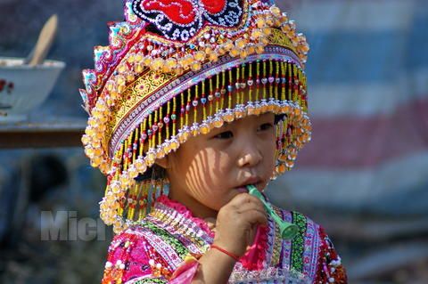 红河州少数民族最多的县市,红河州的少数民族有哪些