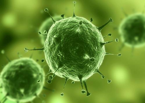 其实它药用价值很高,有多少人知道它的作用和药用价值