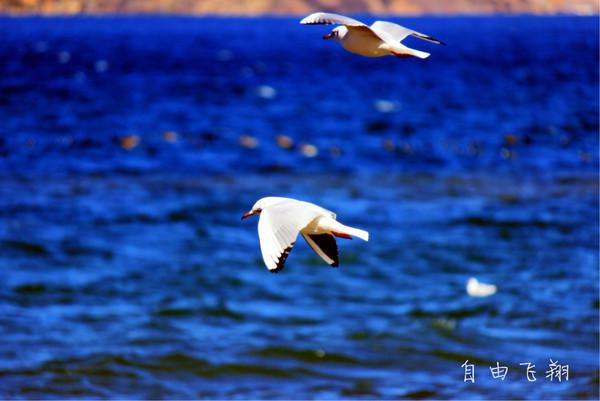 人生若只如初见在广州,人生若只如初见云南