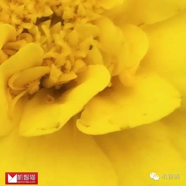 nubia努比亚z60测评,nubiaz11无边框