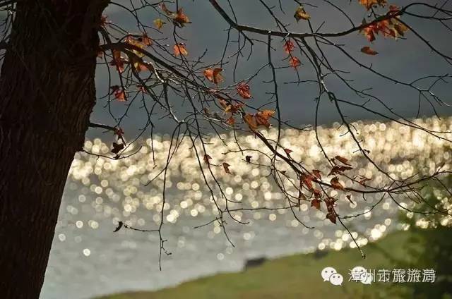 云霄镇攻略,云霄旅游线路攻略图大全