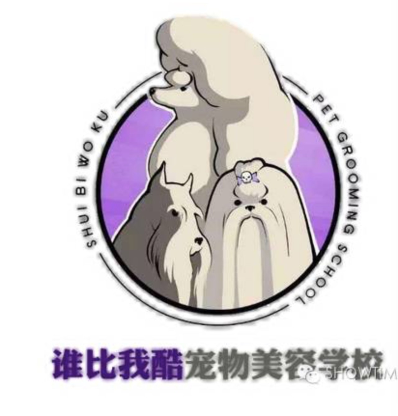 “源食”第五届中国宠物造型达人秀——哈尔滨赛区报道