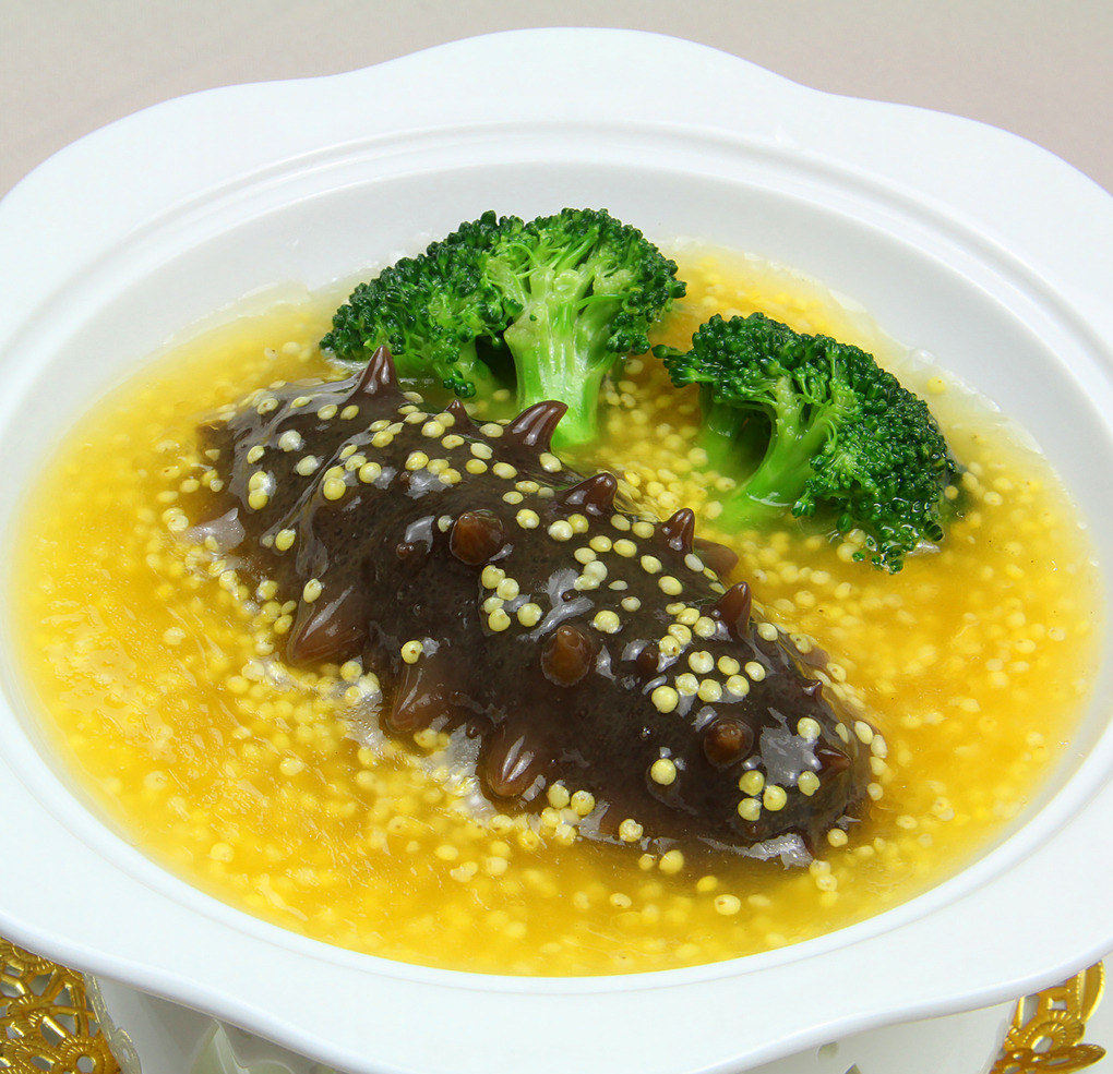 野海参的作用与功效,海参的功效中医