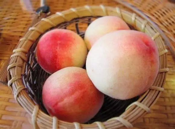 用十年“食光”，去结交一座城