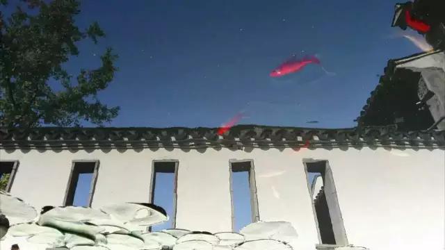 优秀手机摄影作品的五个要素,手机拍的作品