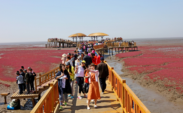 盘锦大洼酒席,盘锦大洼生日宴会