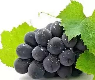 酒后难受最快最有效的方法,酒后难受9个缓解的办法搞笑