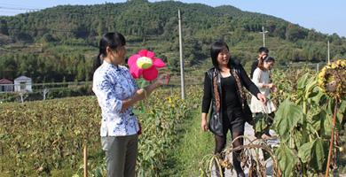 现在在农村做什么最合适,农村人在城里适合做什么