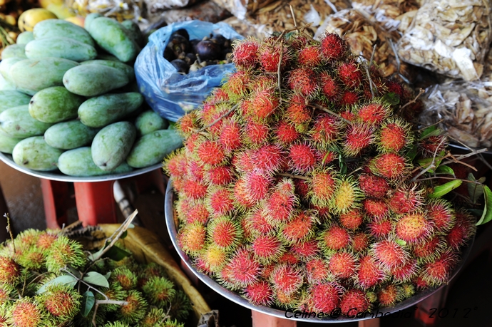 柬埔寨必去景点推荐,柬埔寨旅游必去的九大绝佳景点