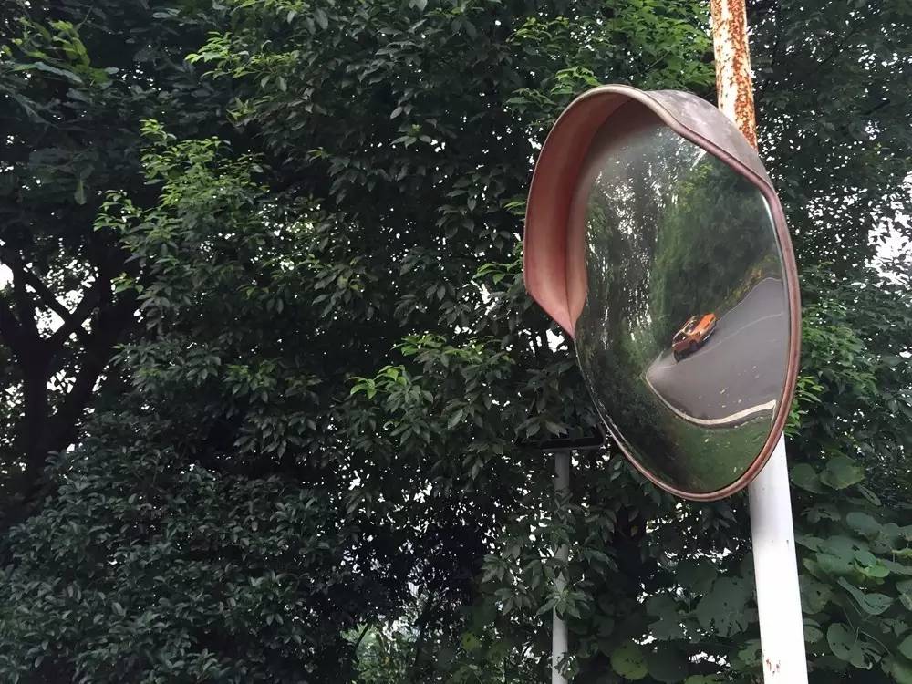 铃木雨燕空间大还是polo空间大,雨燕铃木和polo哪个质量更稳定