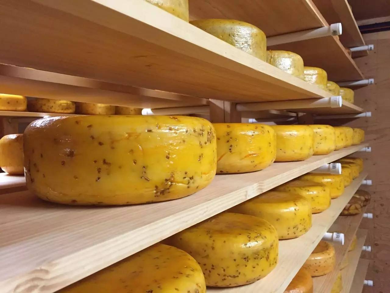 爱德华王子岛位置图,爱德华王子岛省