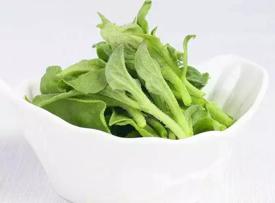 绿色无污染健康养生,绿色生态的养生方法