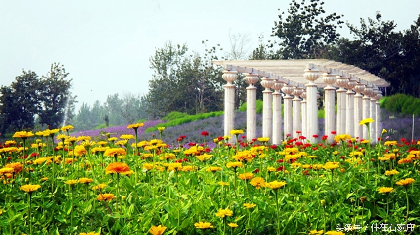 2016石家庄国际音乐节将唱响美丽中秋国赫天著冠名哟！