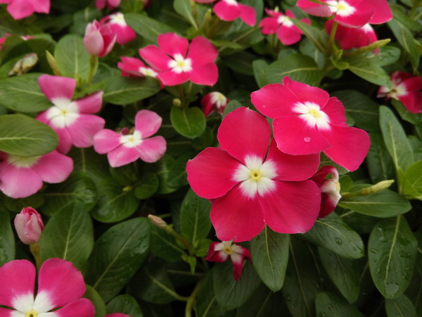 360手机n4s评测,360手机n4s能刷什么系统