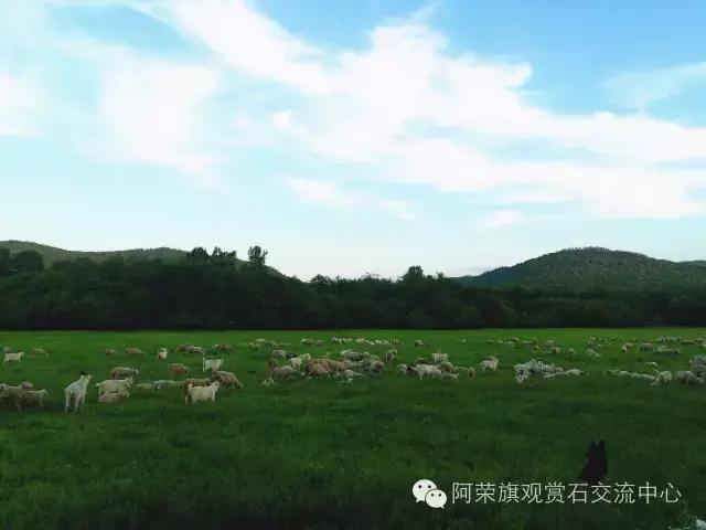 阿荣旗呼伦贝尔,呼伦贝尔市阿荣旗美景