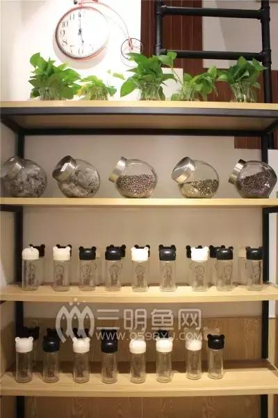 芒果控最爱的金煌芒,芒果控新鲜芒果