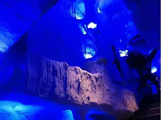 魔都25家排队餐厅大盘点,魔都45家重磅新店开业先一睹为快