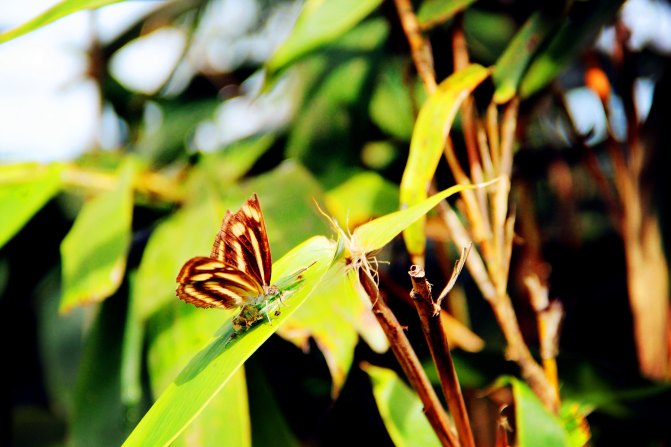 一辆车一家三口出去玩,一辆车带你旅行