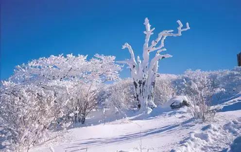 韩国济州岛一个人攻略,韩国济州岛旅行视频