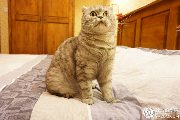 我家的老瓦房怎么改造,88平米厨房装修改造翻新视频