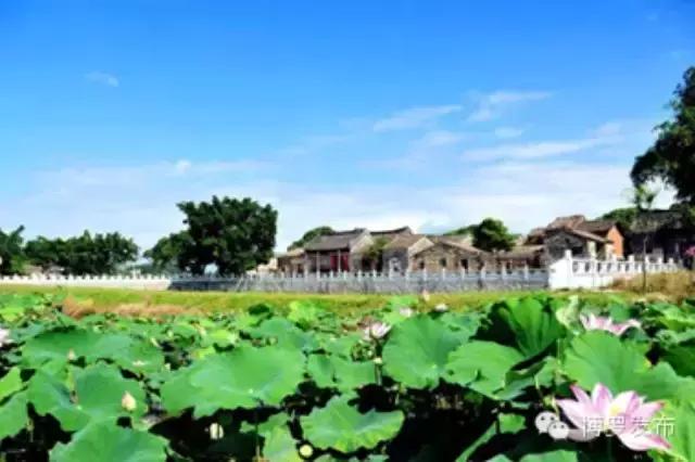 广东省最富裕的城市有哪些,广东省最富裕的地方