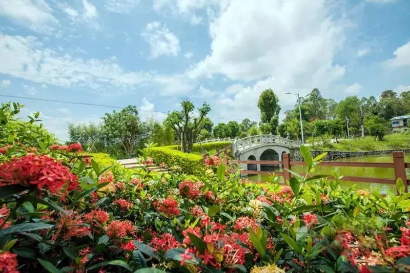 广东省最富裕的城市有哪些,广东省最富裕的地方