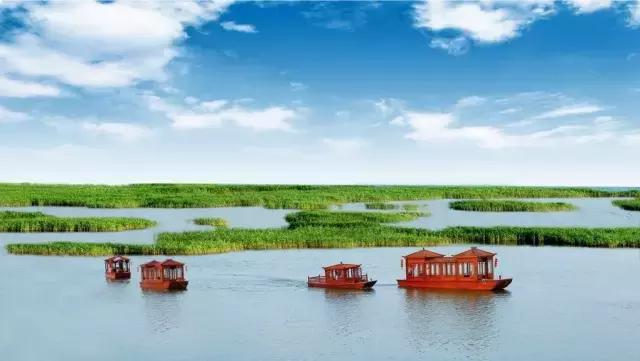 盘锦的夏天，应该是这些颜色的！