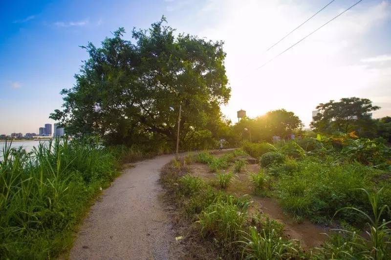 顺德农庄美食推荐,顺德有哪些好吃的山上农庄