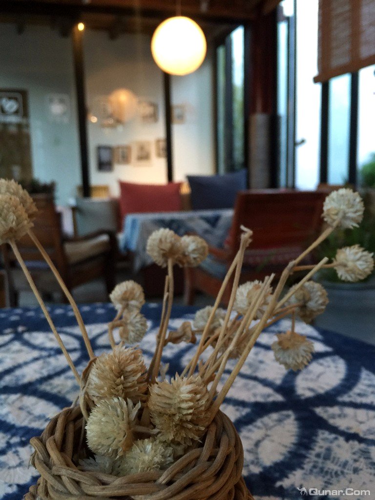 大理无花果好去处,大理路边大叶无花果