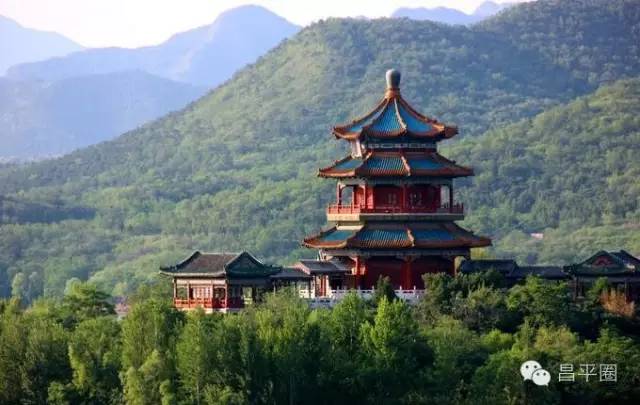 永定区冬桃新鲜采摘等你来,果园现摘冬桃脆甜