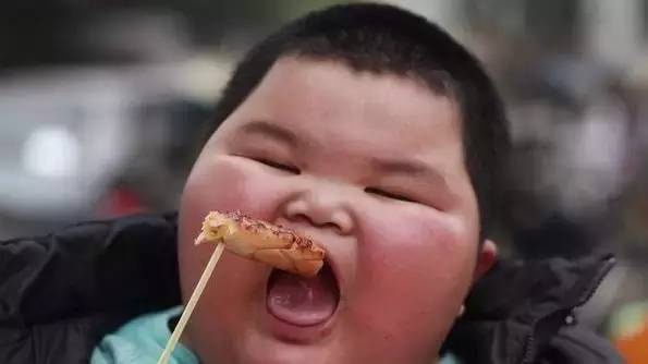 台风过后的福鼎,福鼎台风预报