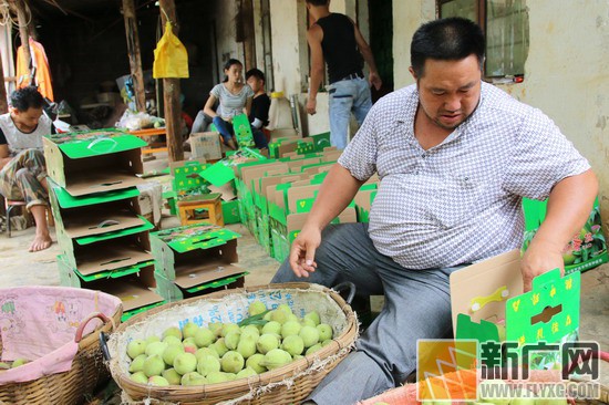 *小平邓**通讯连长才是真正开远蜜桃王
