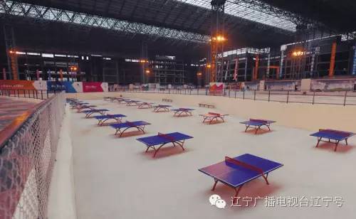 何必花钱去健身？沈阳市公共体育场馆“随便挑”