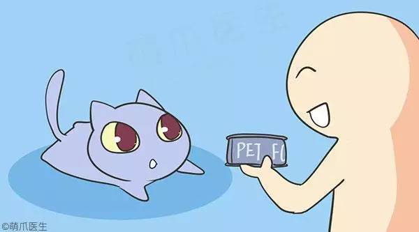 小奶猫用奶粉新手如何喂,怎么教新手猫喂奶