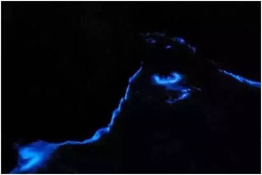 福鼎嵛山岛游玩朋友圈,渔山列岛打卡