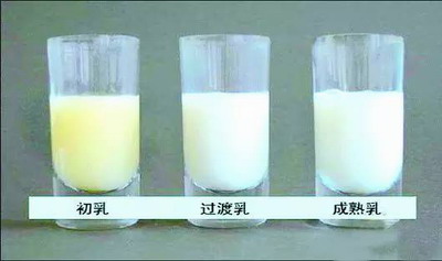 初乳很少怎么办？最初两周母乳喂养方法