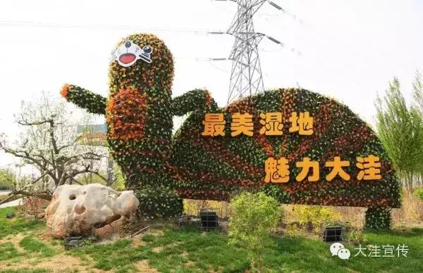 五载流金岁月　铸就风华大洼