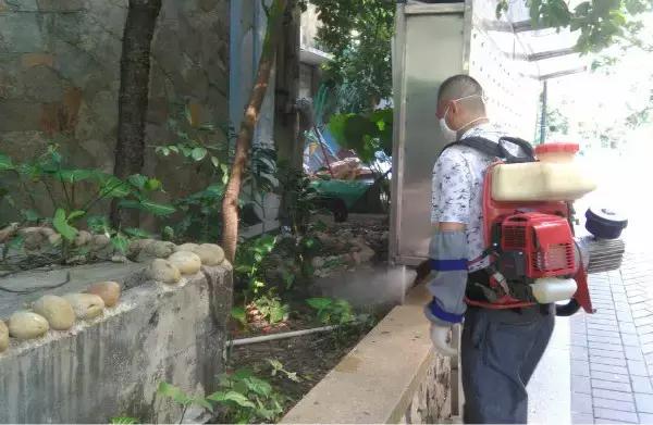 海珠防治白蚁,2014年海珠区登革热